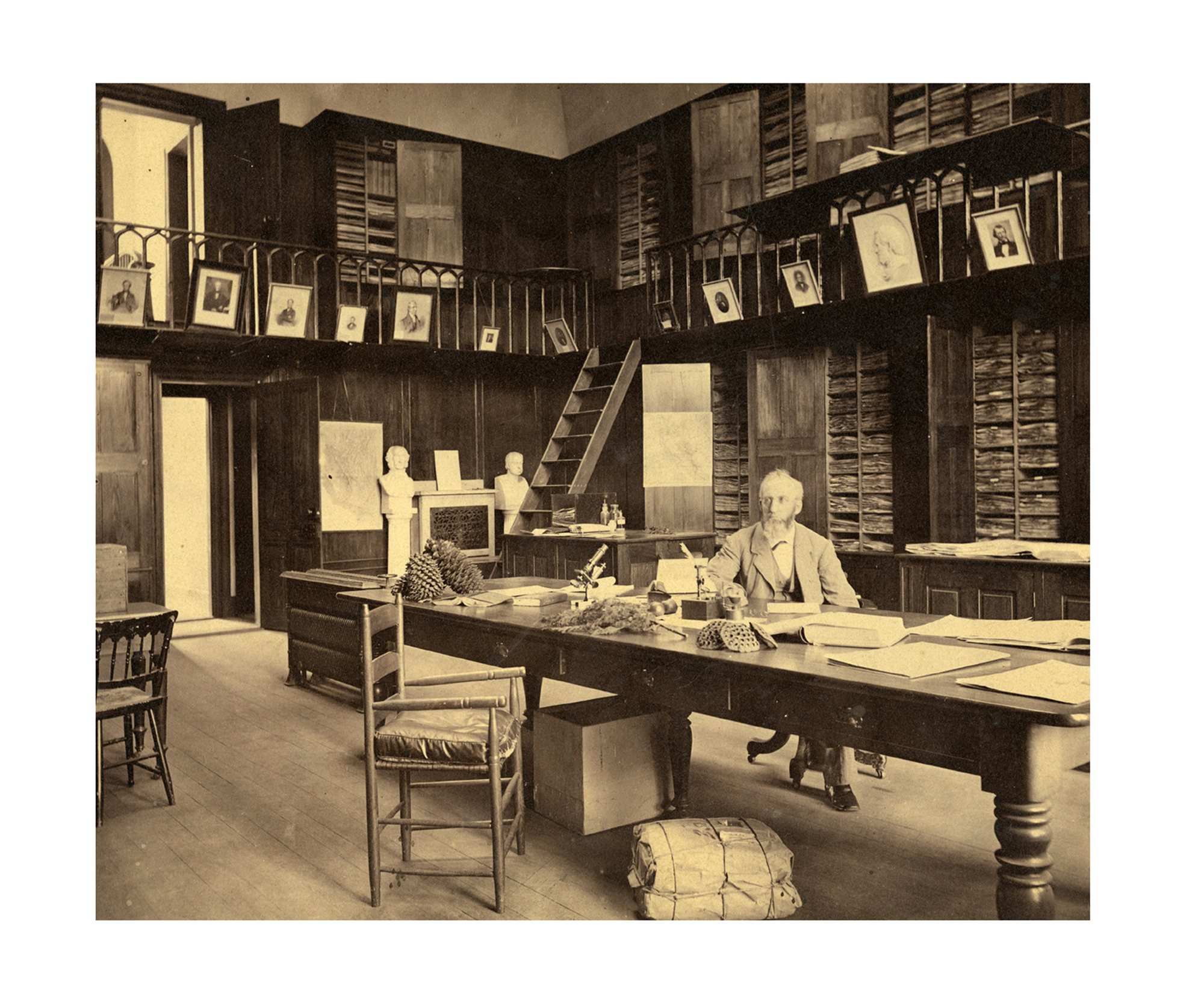 gray-bio_herbarium-lab_1842