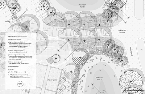 Hotel Sheraton/ Hotel Orlando landscapes