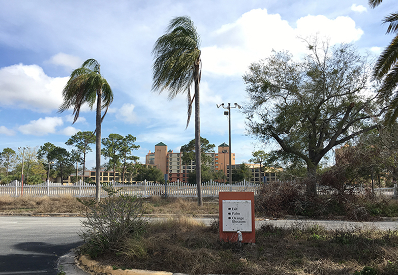 Hotel Sheraton/ Hotel Orlando landscapes